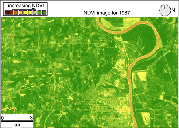 NDVI image