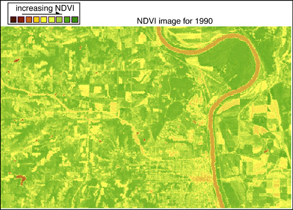 NDVI image