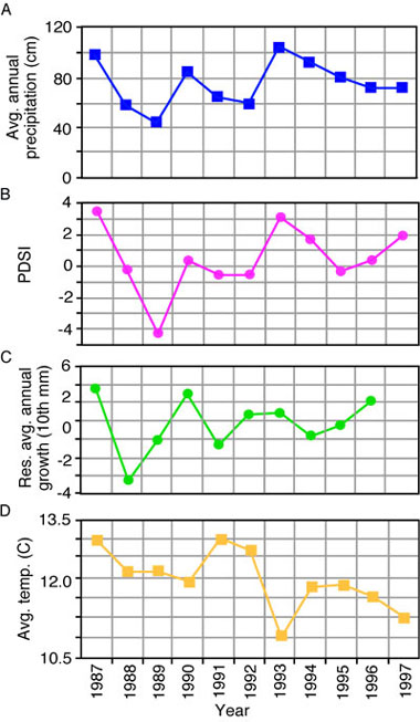 Graphs