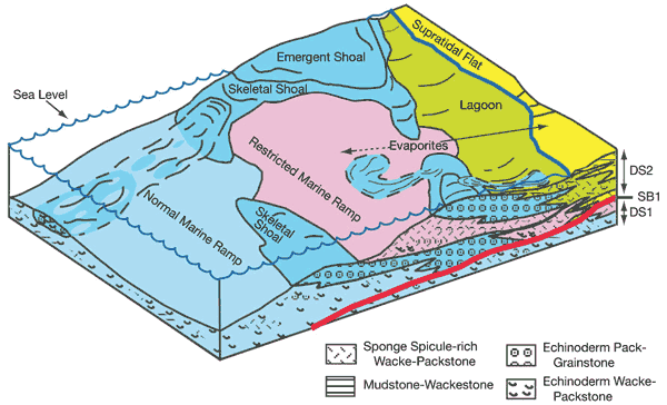 Block diagram showing facies types associated with depositional environments.