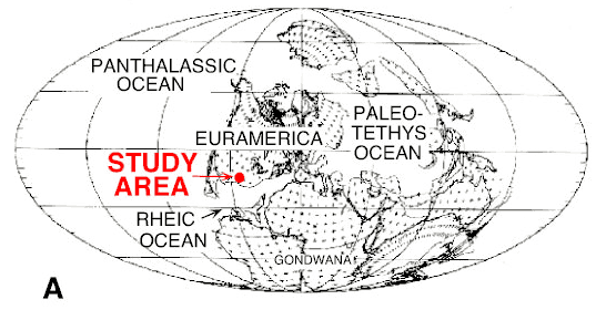 Study area near equator during Visean-Tournaisian time.