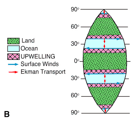 Upwelling model.