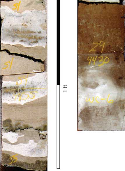 Core photos, EWPG vs. SWP Facies.