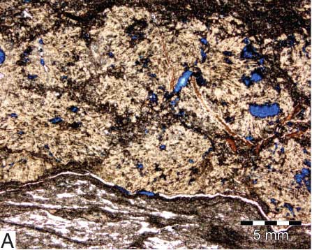 Core photos, evaporite nodules in dolomitic SWP Facies.