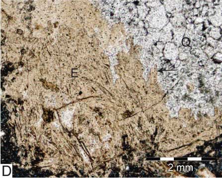 Core photos, original evaporite crystals replaced by clear to brown silica.