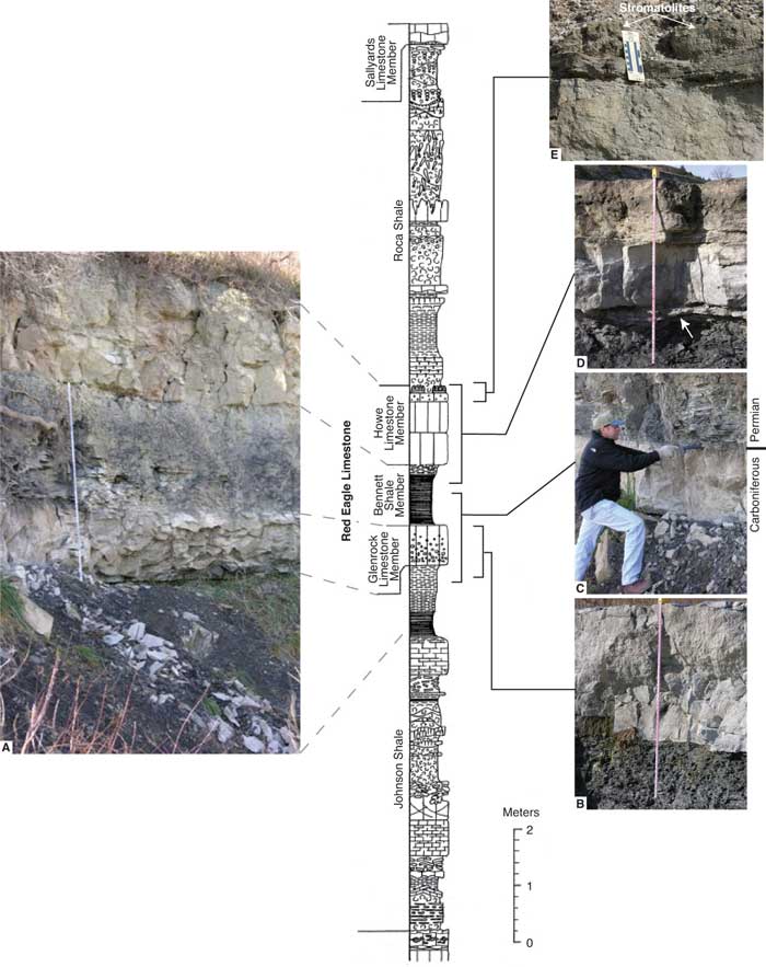 Illustrated stratigraphic section.