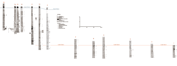 Thirteen measured sections.