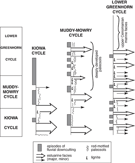 Drawing shows episodes of down cutting, estuarine facies, paleosols, and lignite within the cycles of Kiowa, Muddy-Mowry, and Lower Greenhorn.