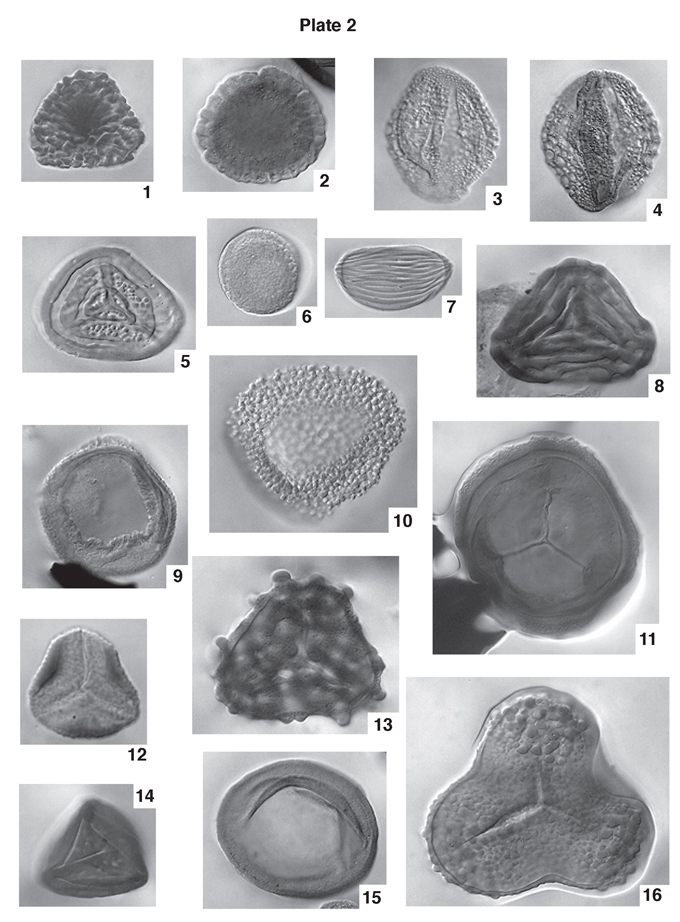 Sixteen black and white photomicrographs.