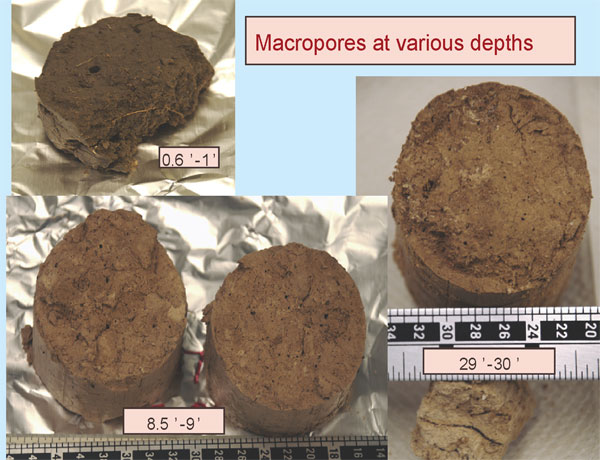 Soil core images at 1 foot, 9 feet, and 29 feet.