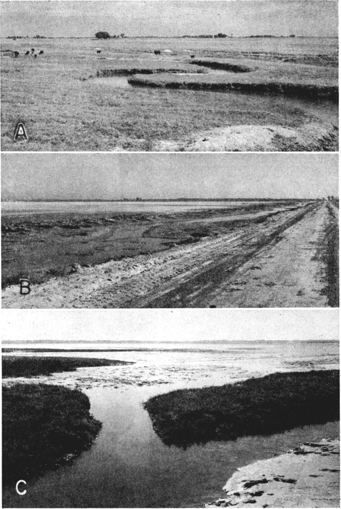 Three black and white photos; Rattlesnake Creek; two of Big Marsh in northeastern Stafford County.