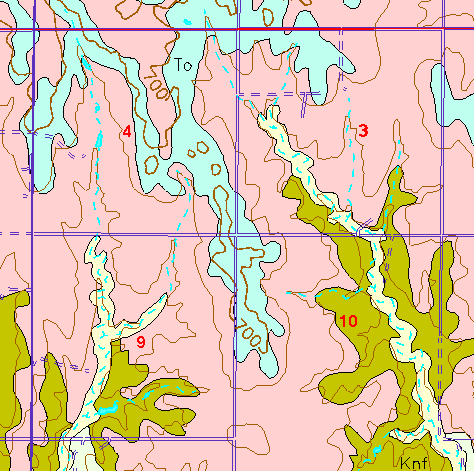 small part of Ellis Co. geologic map