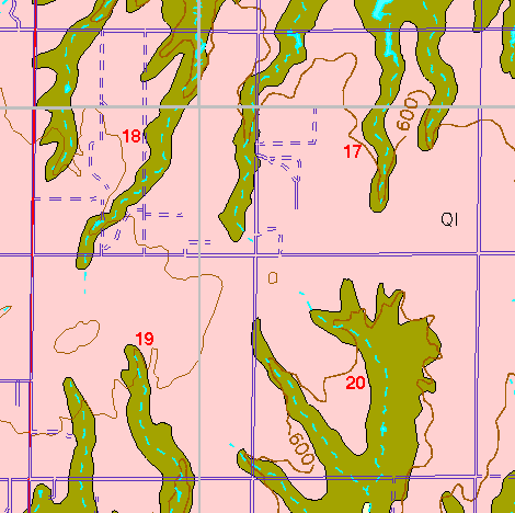 small part of Ellis Co. geologic map