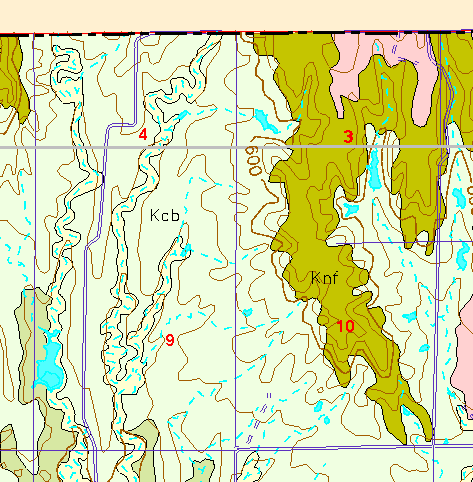 small part of Ellis Co. geologic map