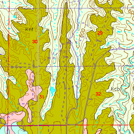 small part of Ellis Co. geologic map