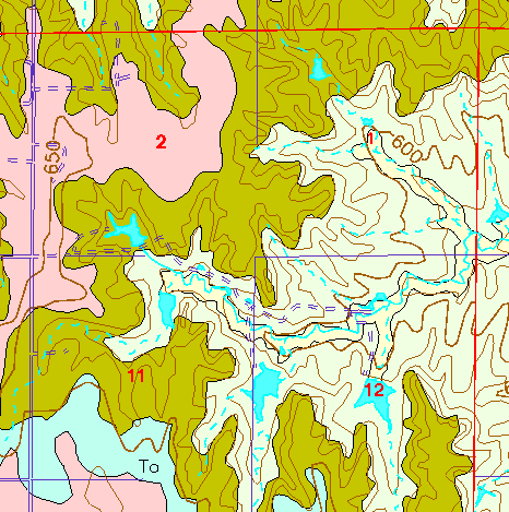 small part of Ellis Co. geologic map