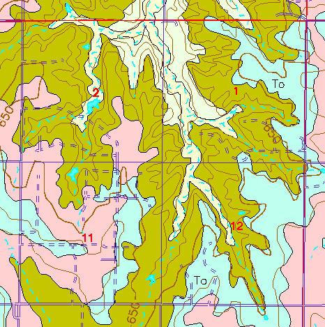 small part of Ellis Co. geologic map