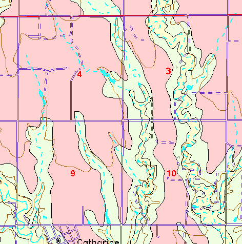 small part of Ellis Co. geologic map