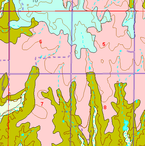 small part of Ellis Co. geologic map