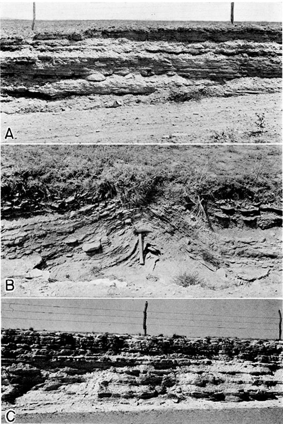 Three black and white photos; top is of Lincoln limestone member of the Greenhorn limestone; middle is of small fold in the Lincoln limestone member of the Greenhorn limestone; lower is of Pfeifer shale member of the Greenhorn limestone.