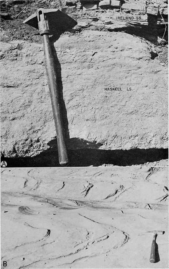 Black and white photos of base of Ireland Sandstone Member of Lawrence Shale and of cross-stratified Ireland Sandstone.