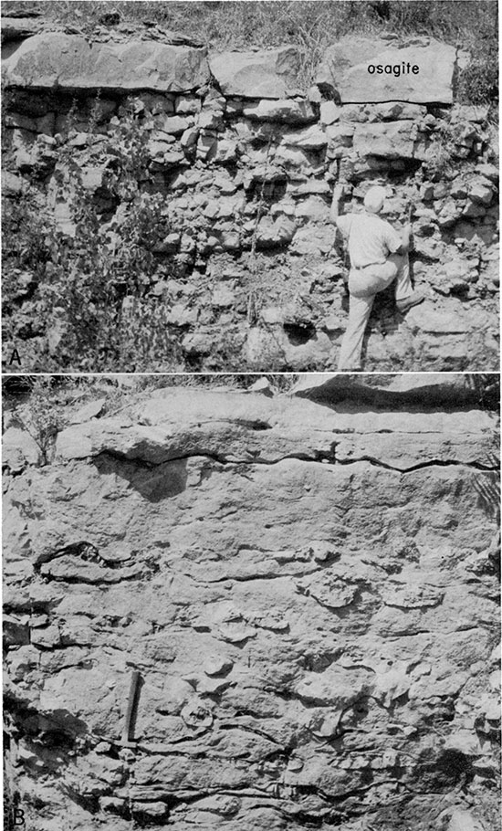 Two black and white photos of outcrops of the Argentine Limestone Member of the Wyandotte Limestone.