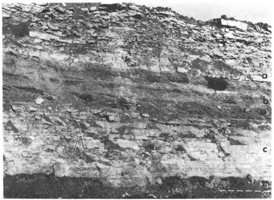 Black and white photo of Stanton Limestone along Interstate Highway 35.