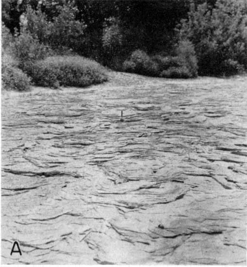 Dry river bed shows cross-bedded limestone.