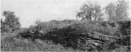 Black and white photo, outcrop of cross-bedded limestone.