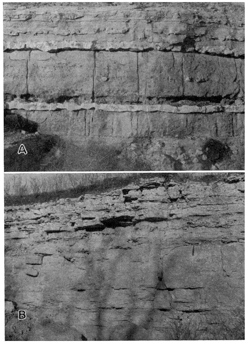 black and white photos of outcrops