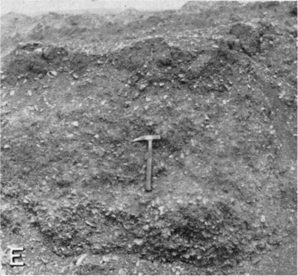 Black and white photo of 6-foot square outcrop in quarry; rock hammer for scale; golf-ball or smaller gravels in soil.