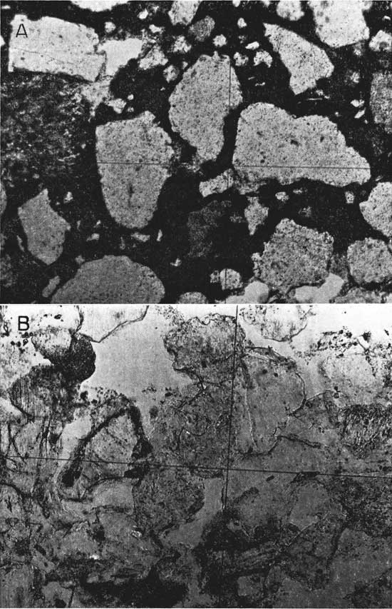 Two black and white photomicrographs.