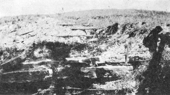 Black and white photo showing blocky fence post limestone; beds 6 inches to 1 foot thick based on rock hammer in photo.