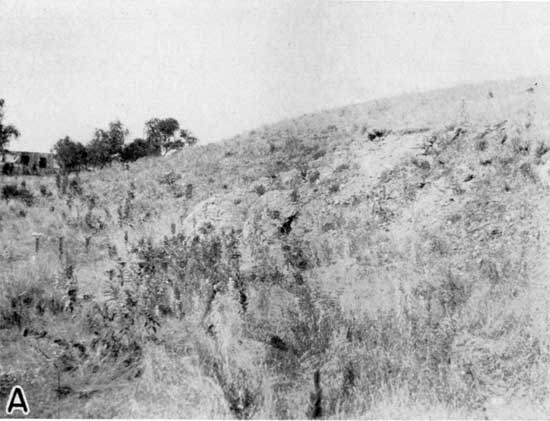 Small grass-covered hill.