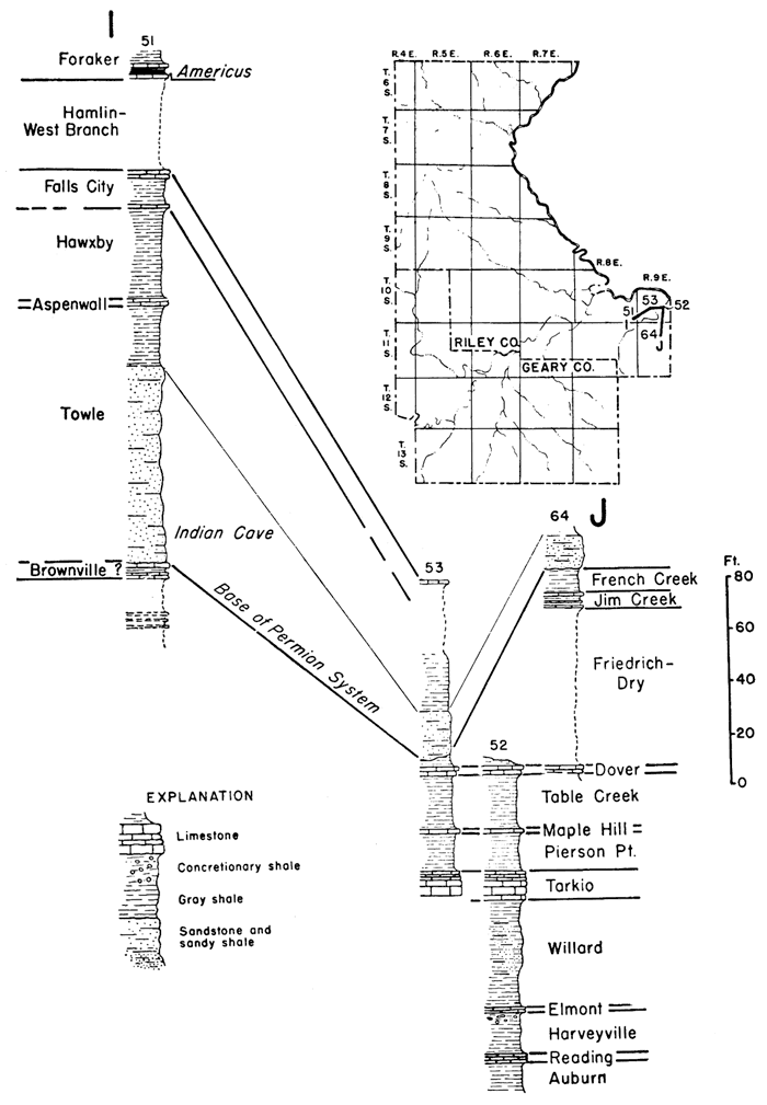 detailed columns