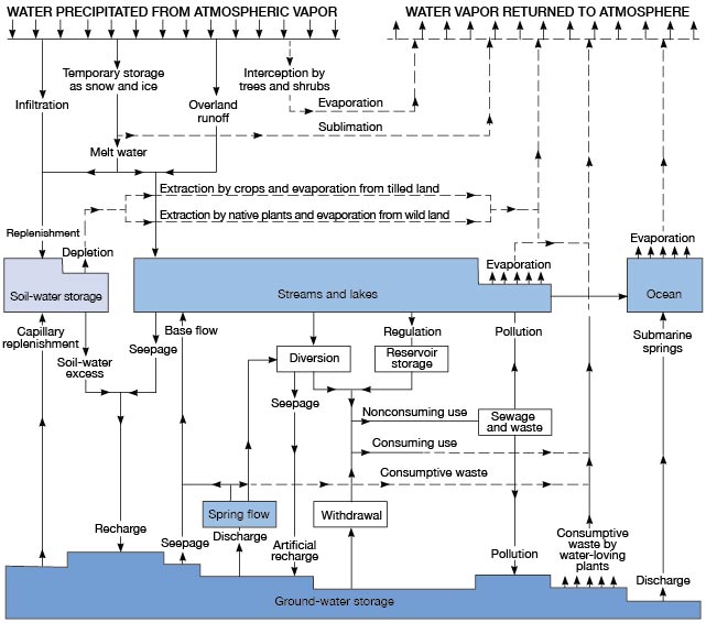 Diagram of the hydrologic cycle.