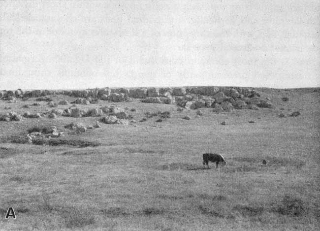 Black and white photo of low hillside, grasses in forground and white, blocky bed in background.