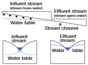 Stream above water table donates water to ground water; stream gains water from ground if it intersects water table.