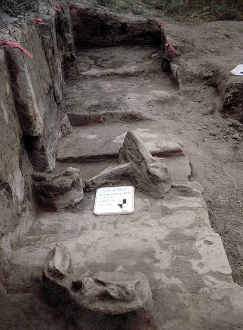 Mammoth bones, several feet in length, exposed after excavation.