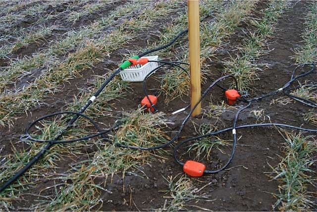 ice-covered geophones, tup keep connector off wet ground