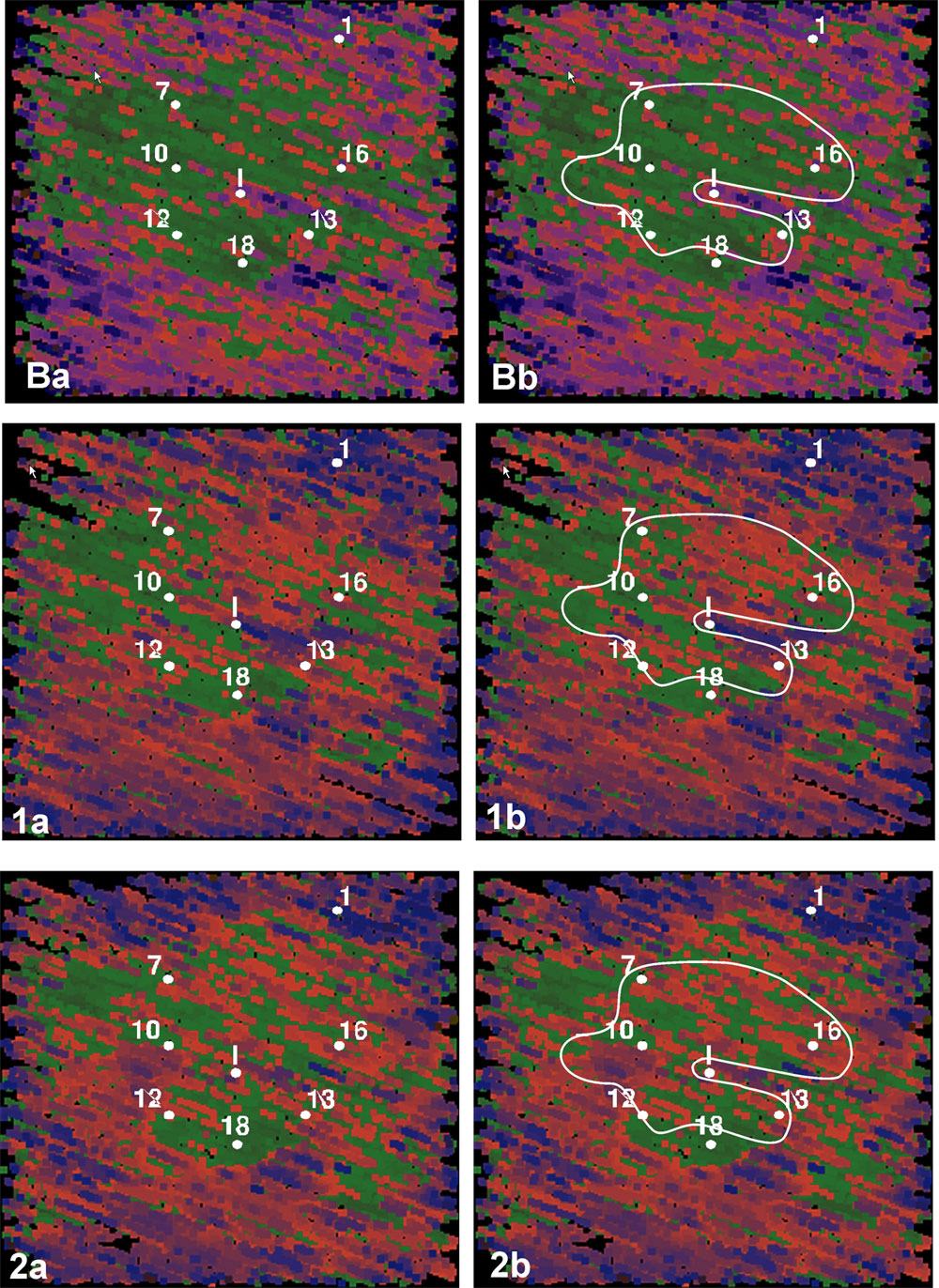 instantaneous frequency plots from baseline and first two monitoring sets