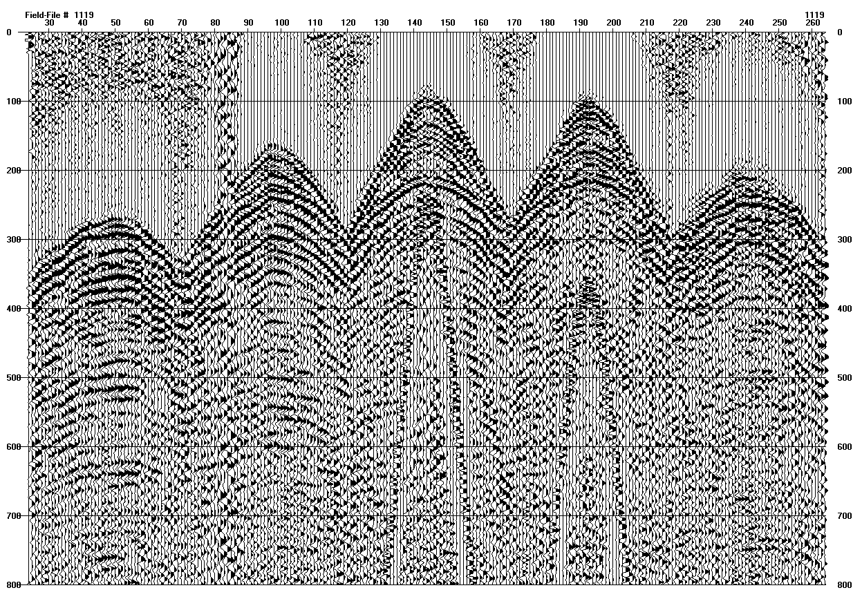 seismic data in wiggle-trace format