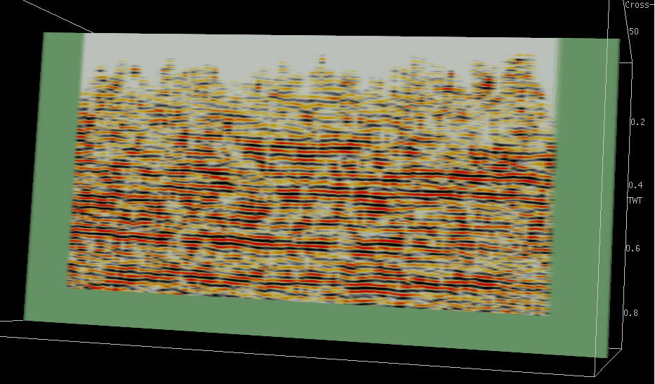 seismic display where wiggle traces are replaced by color values