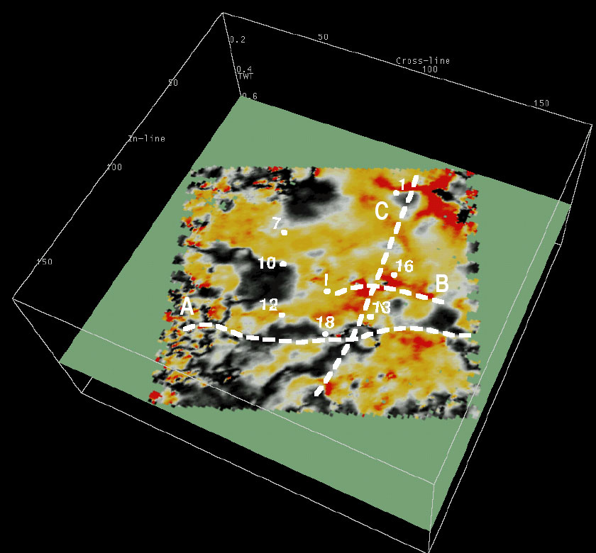 color amplitude plot with lineaments