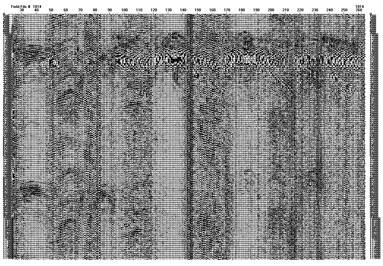 Seismic data