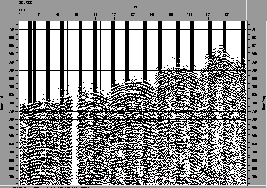 Display of gathered seismic data.