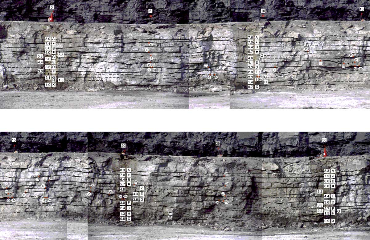 Photomosaic of the outcrop.