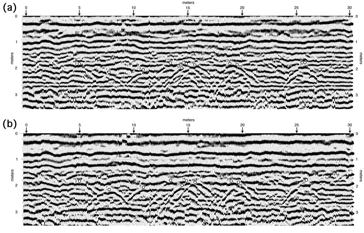 Two seismic profiles, non-deconvolved and deconvolved.