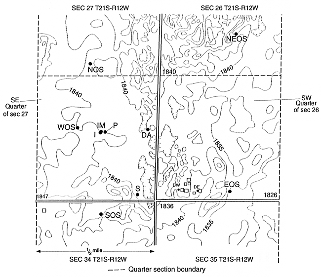 Wells in the Siefkes intensive study area.