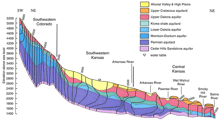 Steady-state head distribution in the partially calibrated vertical profile model.